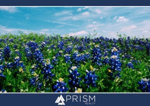 Prism Realty - Plan Your Ultimate Spring Adventure in Austin - Things to do in Austin - Austin Spring 2021 - Spring Break in ATX