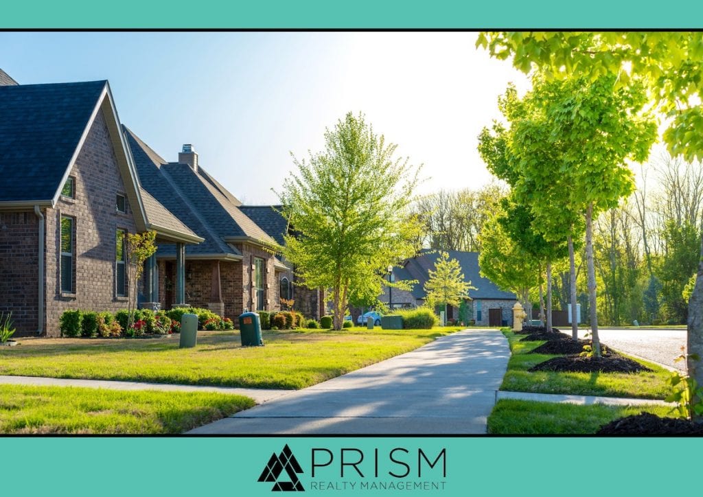 Prism Realty Management - Don’t Be Shady How Your Association Manages Trees Matters - Tree Maintenance - HOA Tree Management - HOA rules on trees - HOA tree maintenance - hoa trees