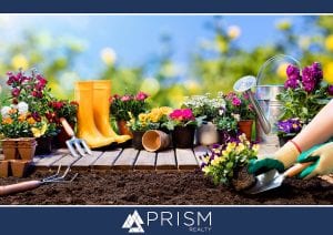 Prism Realty - Gardening Tips for Beginners - Flowers that Grow in Texas - Texas Gardening Tips - Austin Gardening Tips