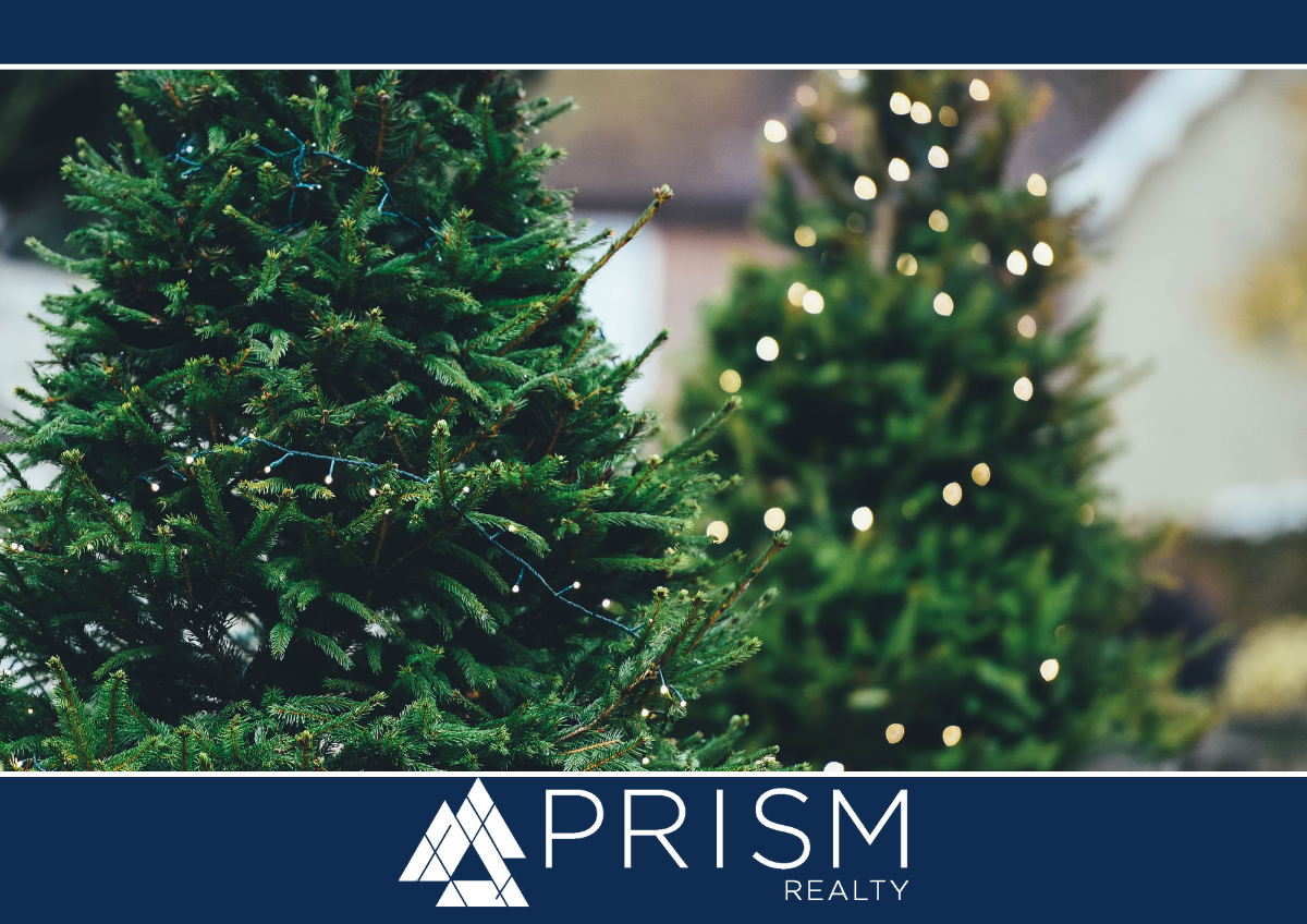 Prism-Realty-blog-Choosing-The-Perfect-Christmas-Tree-For-Your-Home-Prism-Realty-Partners-best-real-estate-brokerage-in-Austin-Texas Blog 1 Nov 2022 Featured Image