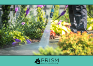 prism realty, prism property management, common areas, hoa maintenance