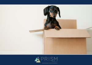 4 Money Saving Tips For Your Next Move - Prism Realty Management - Prism Realty Partners - Austin Real Estate - Real Estate