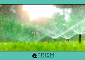 How To Conserve Water In Your HOA Community - Prism Realty Management - Prism Realty Partners - HOA Management Austin - Texas Real Estate