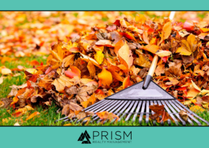 Tips To Prepare Your HOA Community For The Fall - Prism Realty Management - HOA Management Austin - Prism Realty Partners - Austin Real Estate
