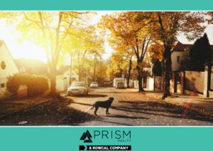 Things HOA Boards Wish They Knew Before They Started - Prism Realty Management - Prism Realty - Austin Real Estate - HOA Management in Austin
